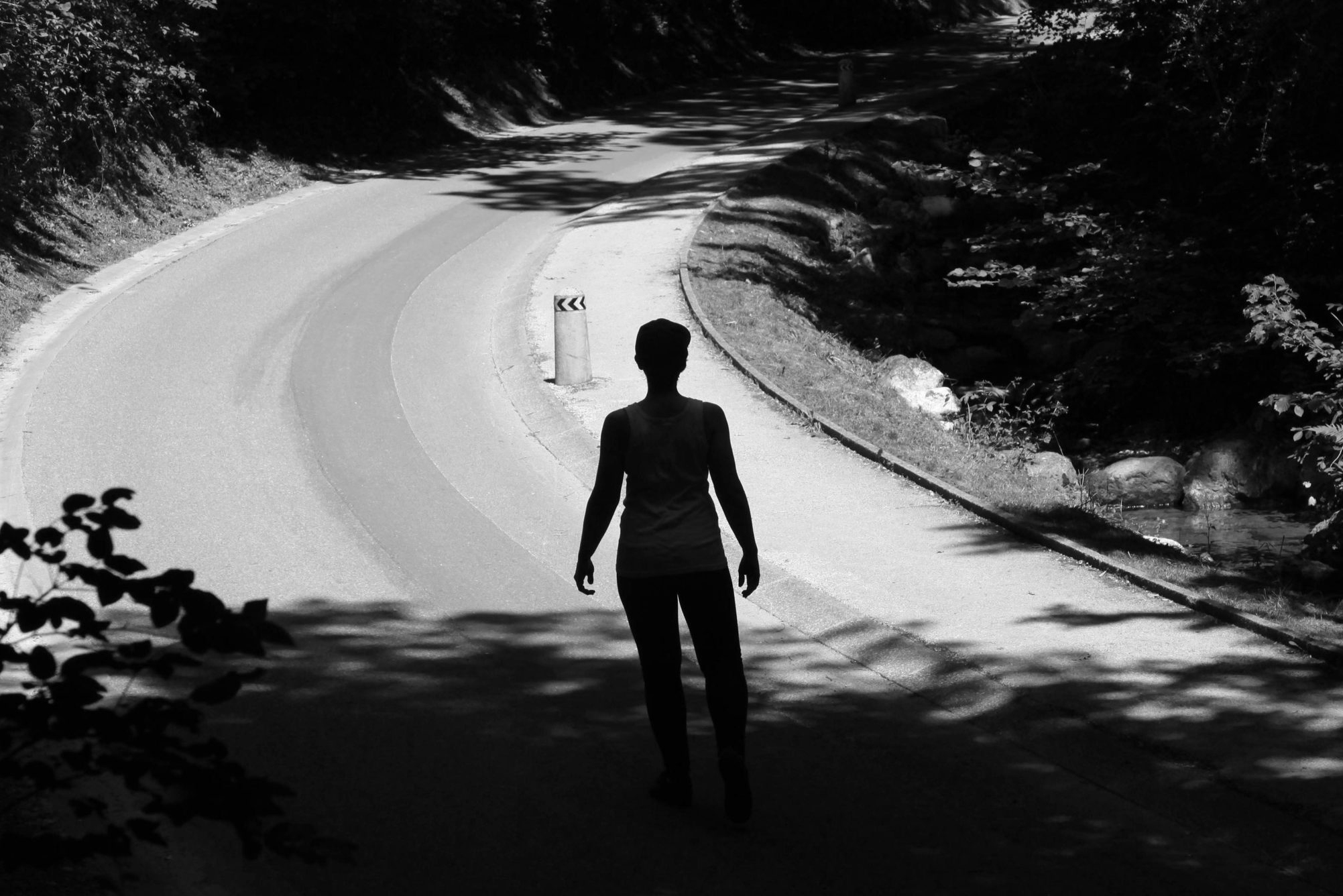 Le Bois de la Grille à Vernier © Delphine Luchetta